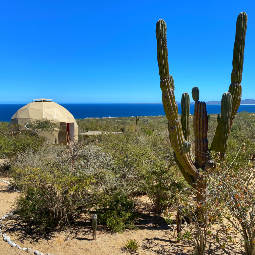 Vendimias 2025 en Baja California: ¿Cuánto cuesta asistir? en Travel & Life: Tu Guía de Viajes y Estilo de Vida Vendimias 2025 en Baja California: ¿Cuánto cuesta asistir? en Travel & Life: Tu Guía de Viajes y Estilo de Vida
