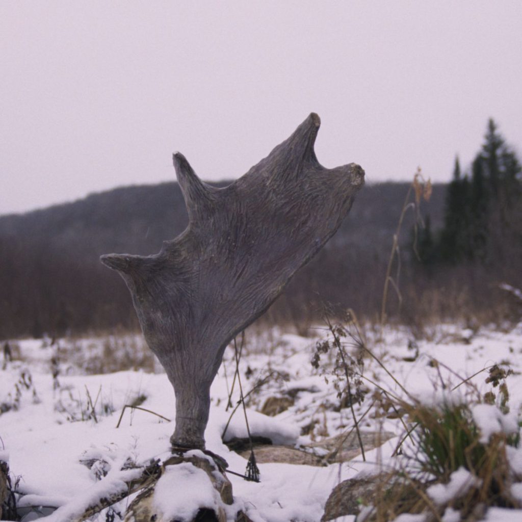 Muestra cine Quebec.