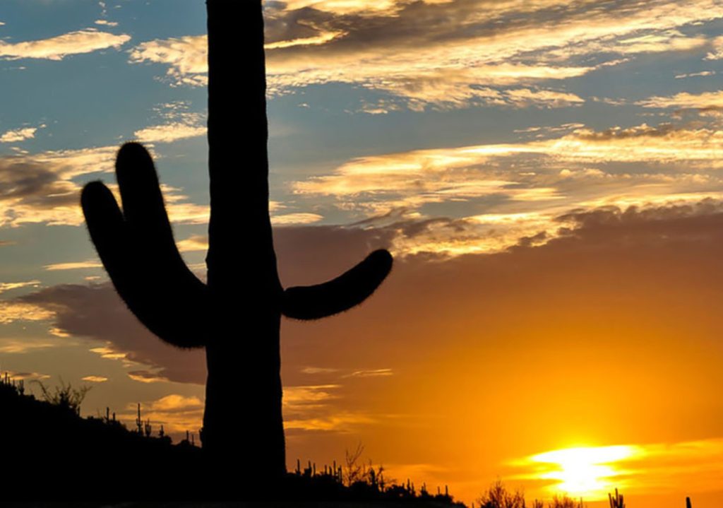El itinerario de lujo por Arizona que es perfecto para primavera parques nacionales