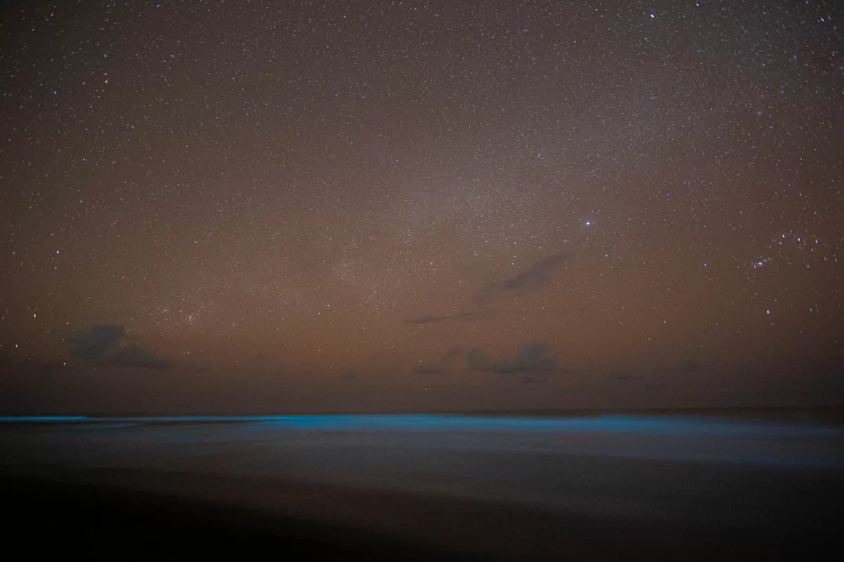 Playa nexpa luces