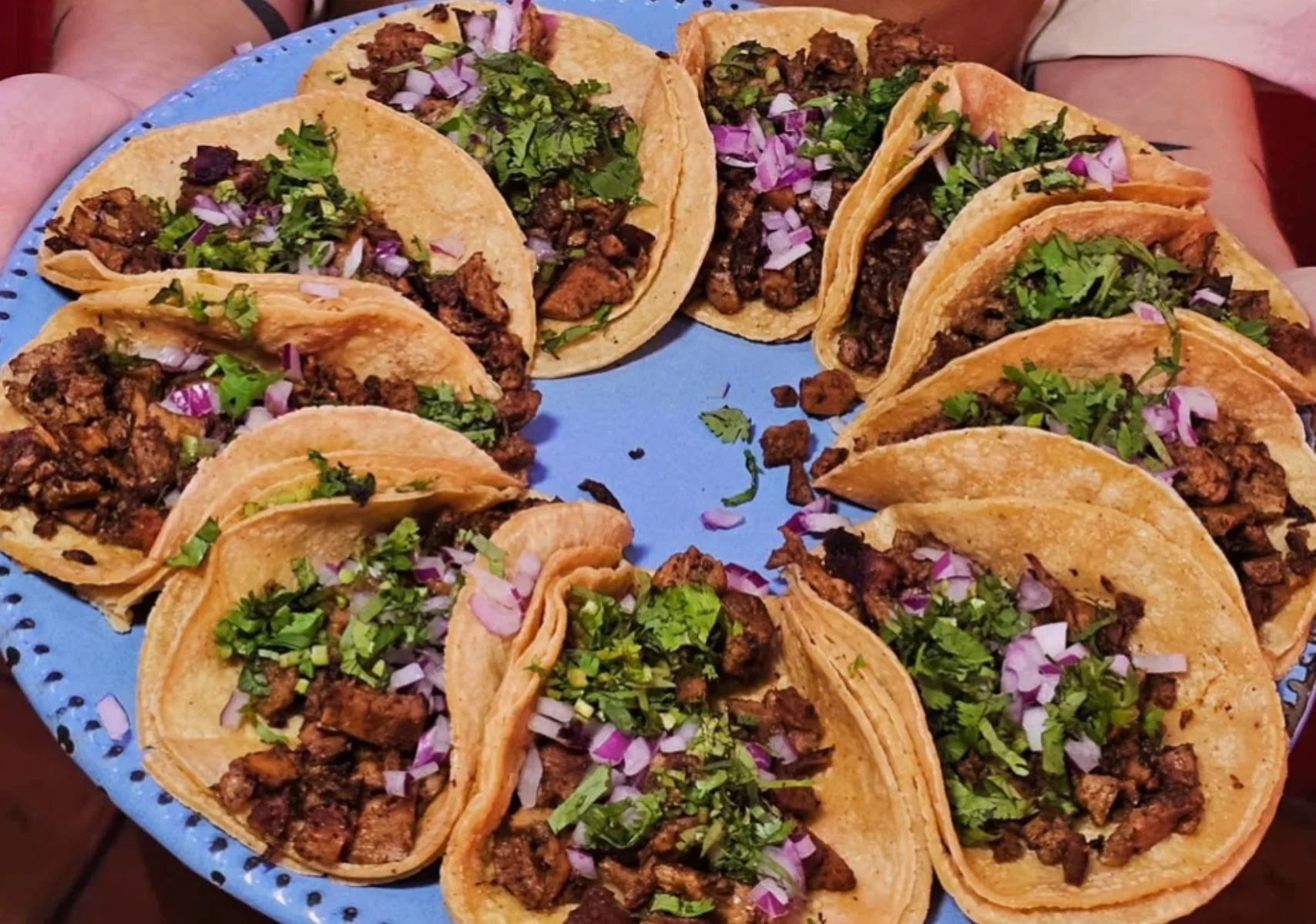 Mejores taquerías veganas en la CDMX
