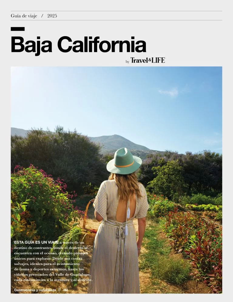 Conoce todas las actividades y lugares fantásticos que debes consideras para viajar a Baja California este 2025.