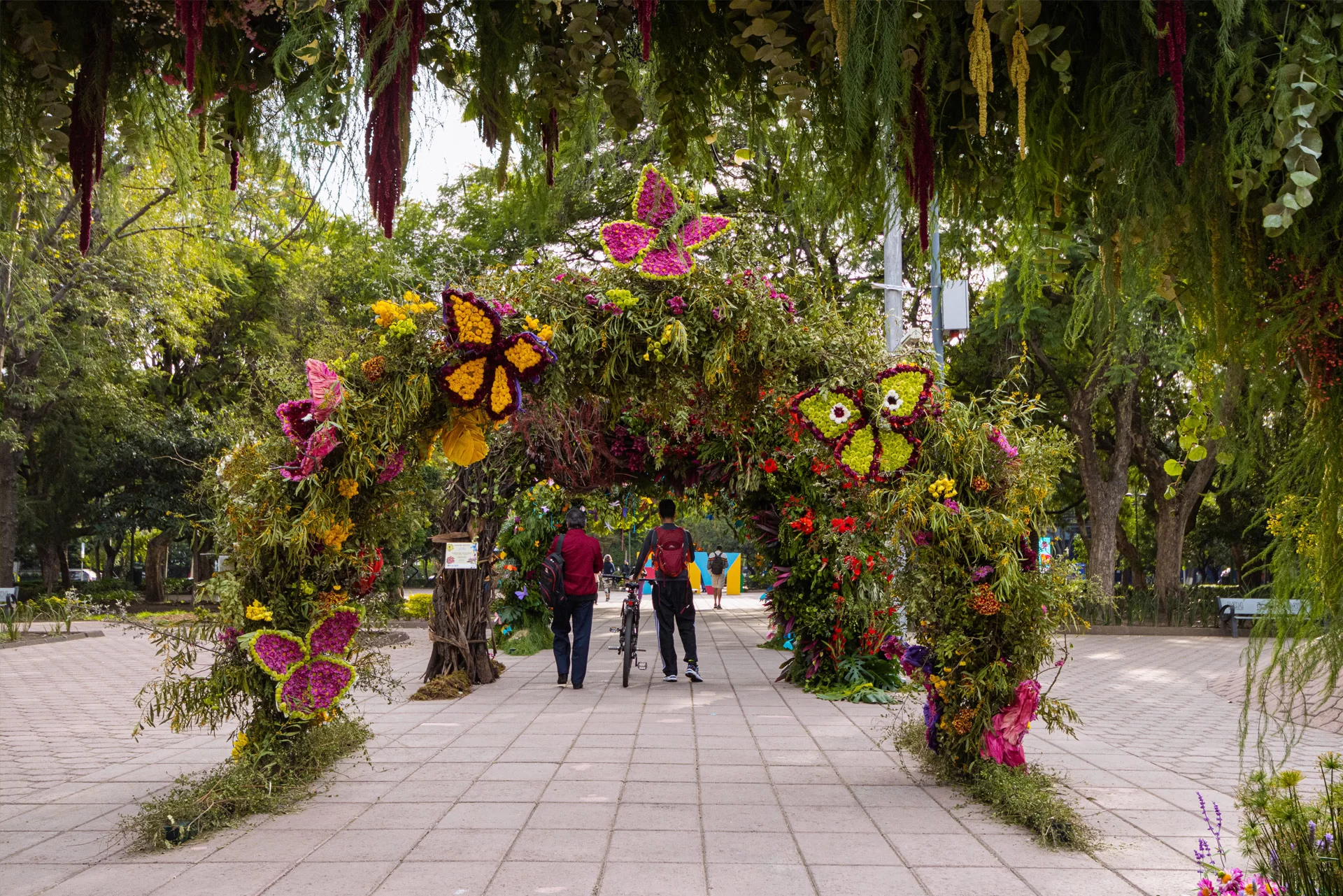 Flores Polanco.
