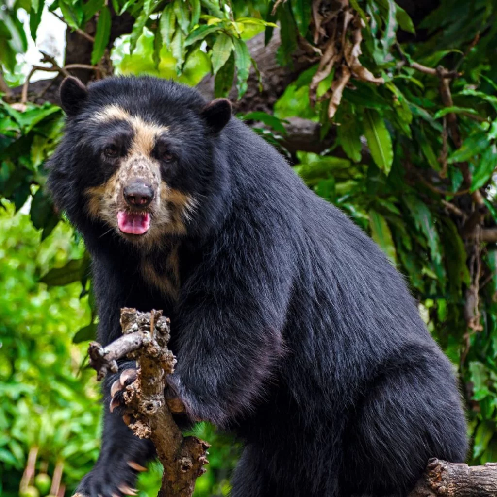 Reserva Ecológica de Chaparrí.