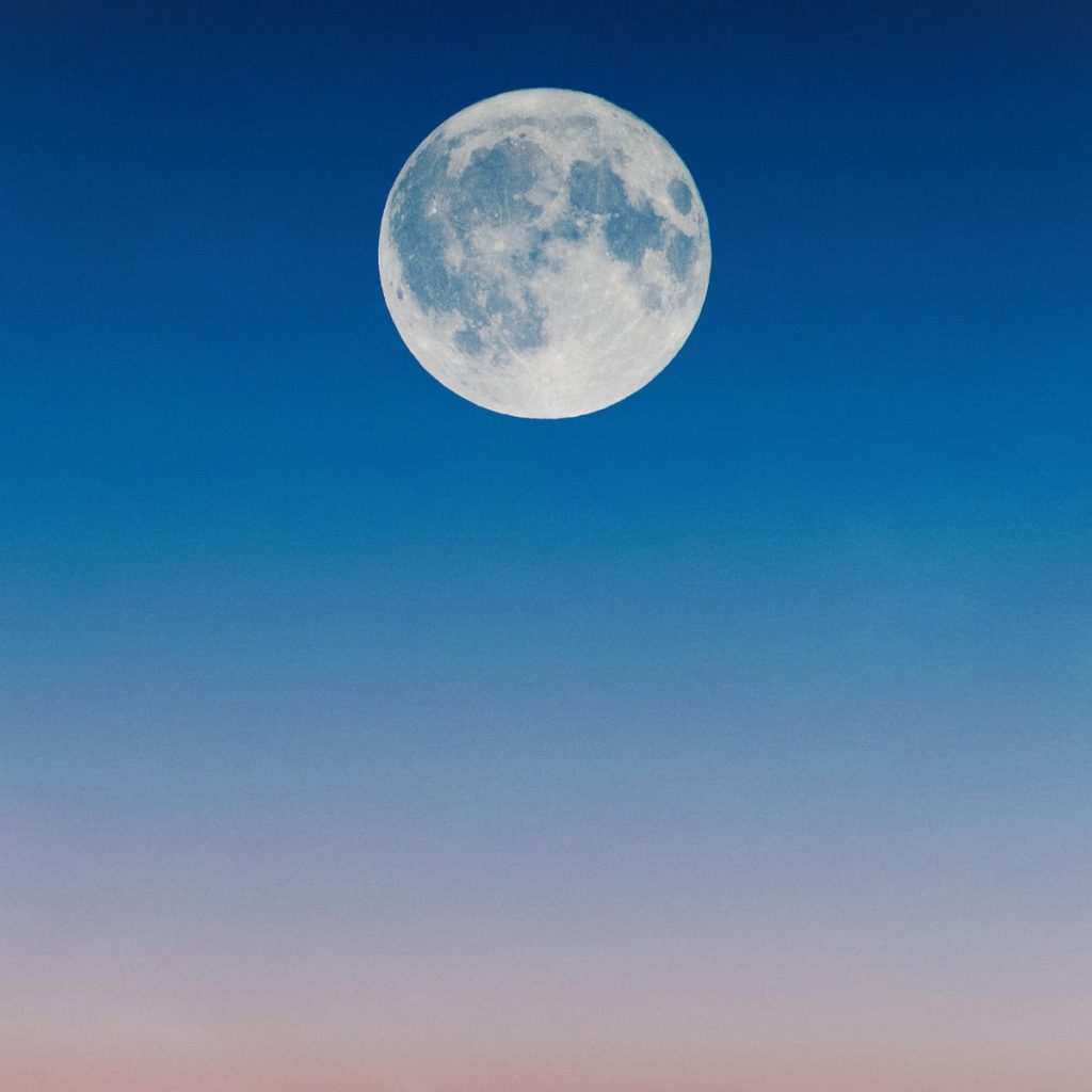 Luna de Flores.