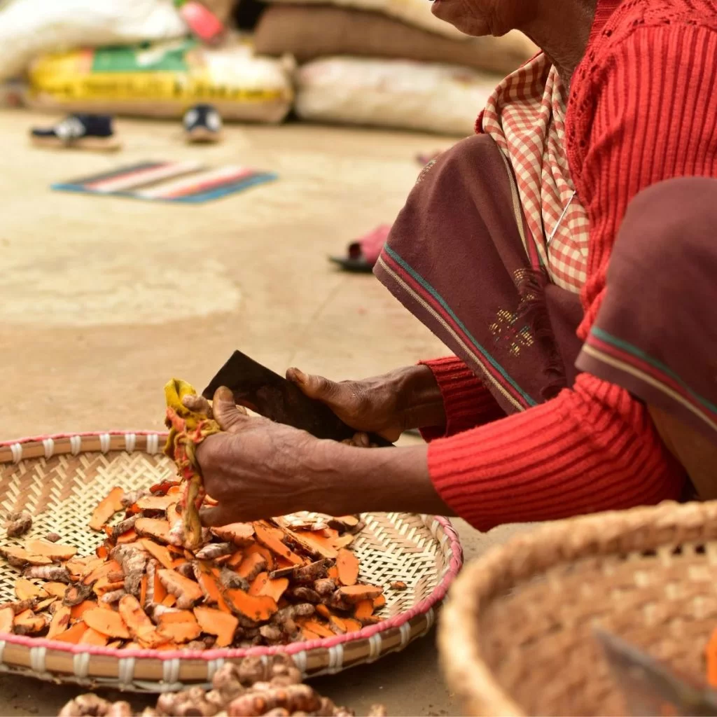 Shillong en India es un destino para el verano 2025.