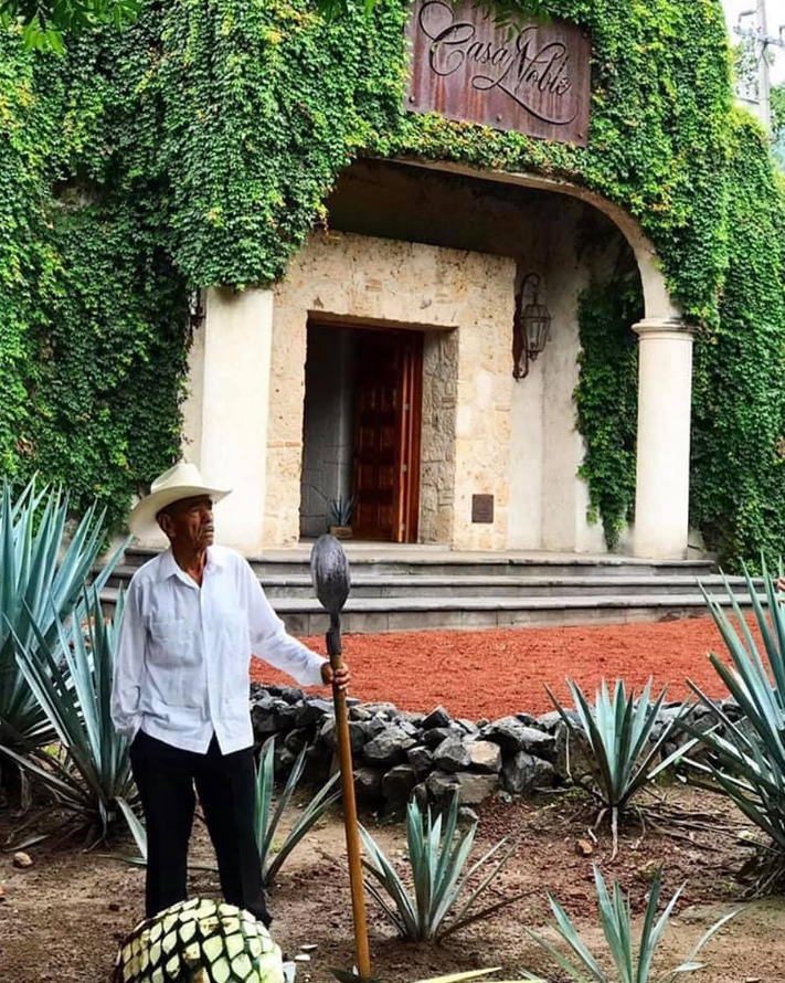 Tequila, Jalisco: guía de las destilerías que no te puedes perder en Travel & Life: Tu Guía de Viajes y Estilo de Vida