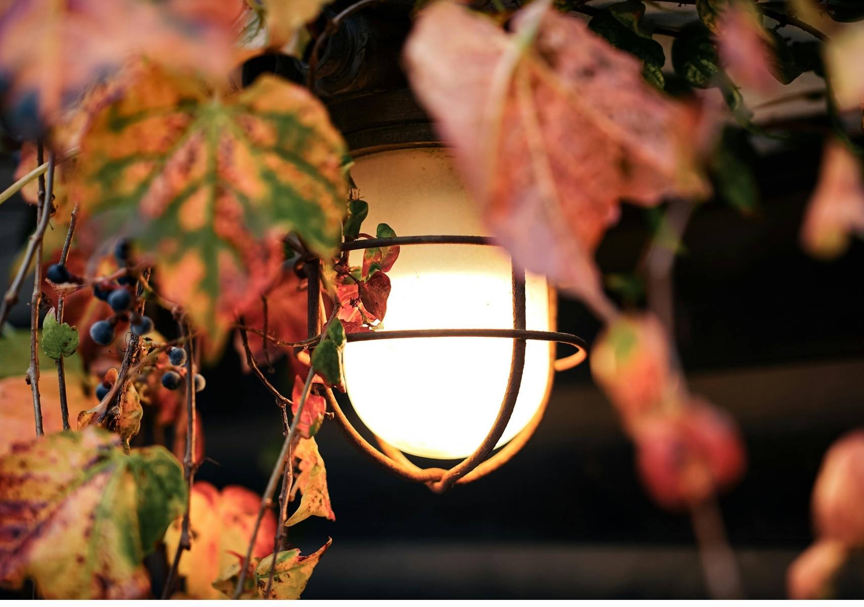 uNA LÁMPARA ILUMINANDO LA OSCURIDAD DE OTOÑO