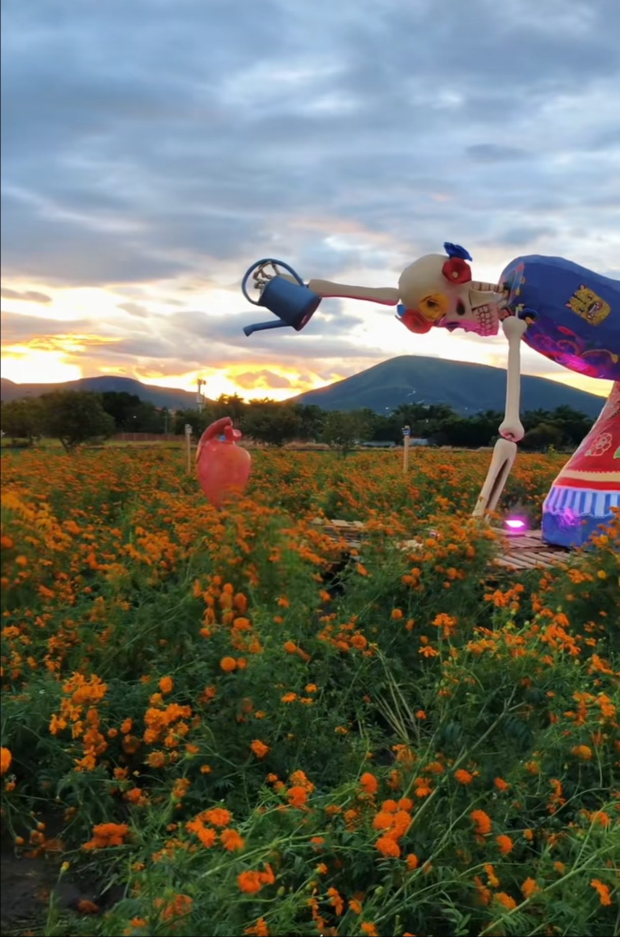 Valle de las Catrinas en Atlixco: cuándo empieza el festival, qué hacer y cuánto cuesta en Travel & Life: Tu Guía de Viajes y Estilo de Vida