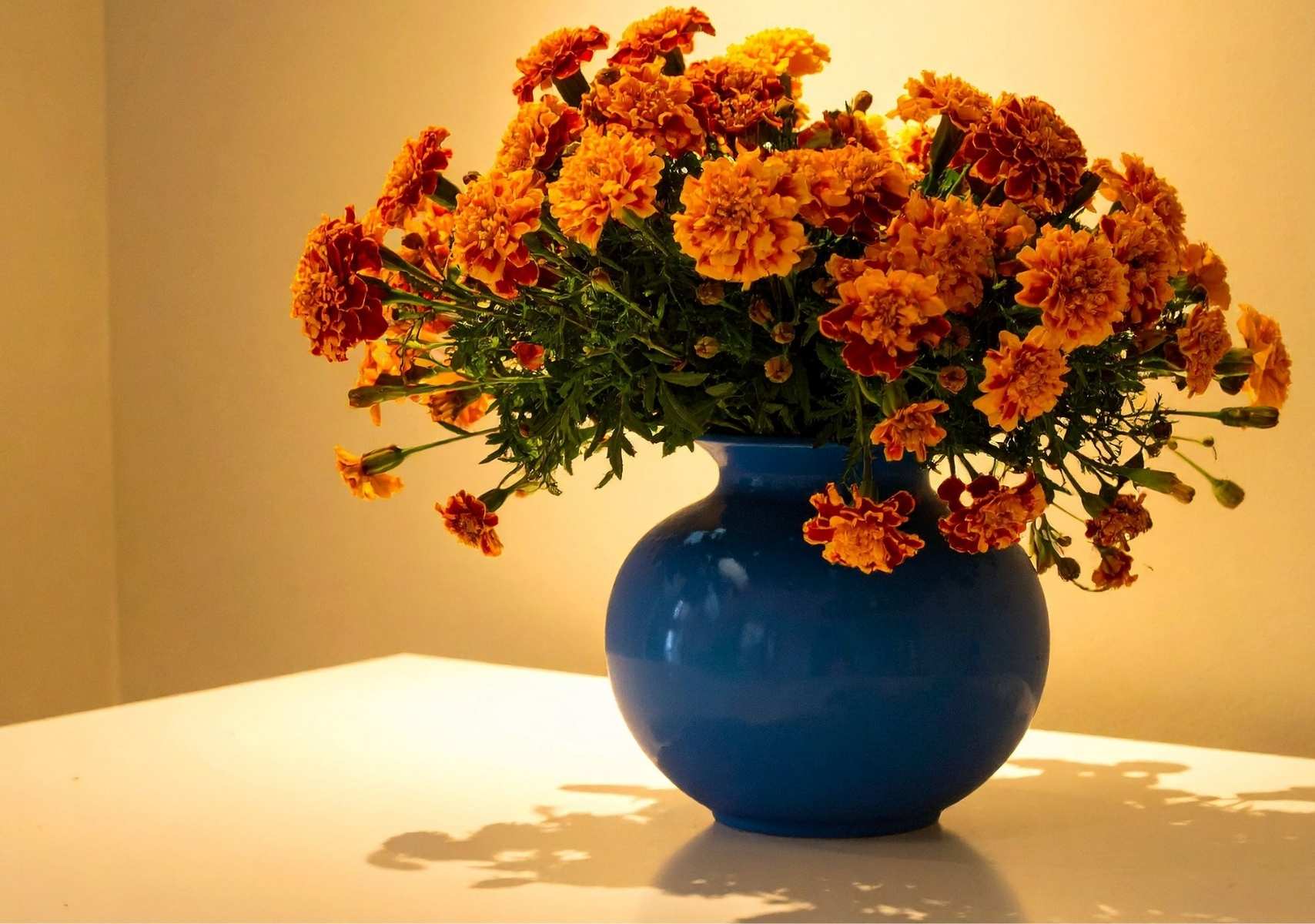 Ramo de flor de cempasúchil en florero azul