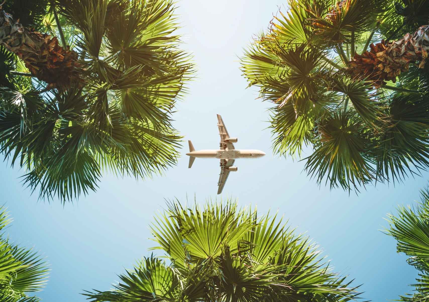 un avión sobrevolando la playa visto desde el suelo en diciembre