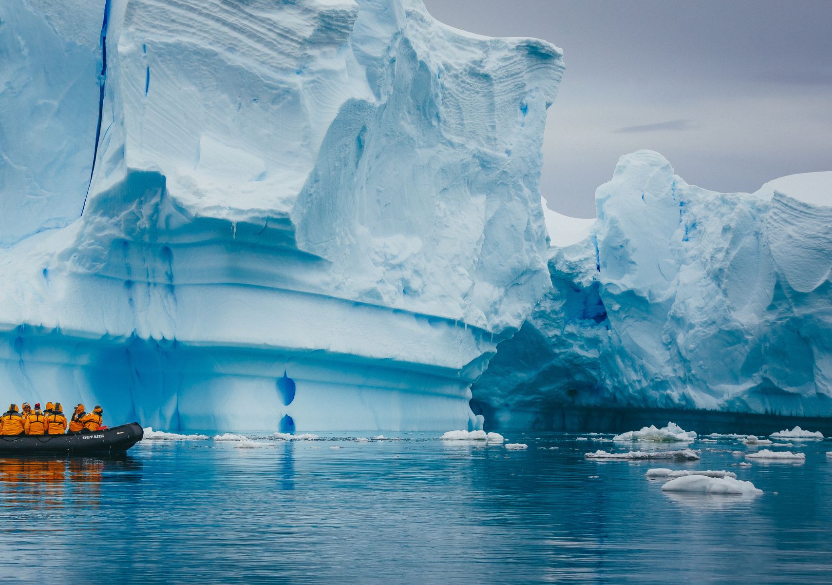 Cómo viajar a la Antártida para ver pingüinos emperador en Travel & Life: Tu Guía de Viajes y Estilo de Vida Pinguinos emperador en la Antártida.