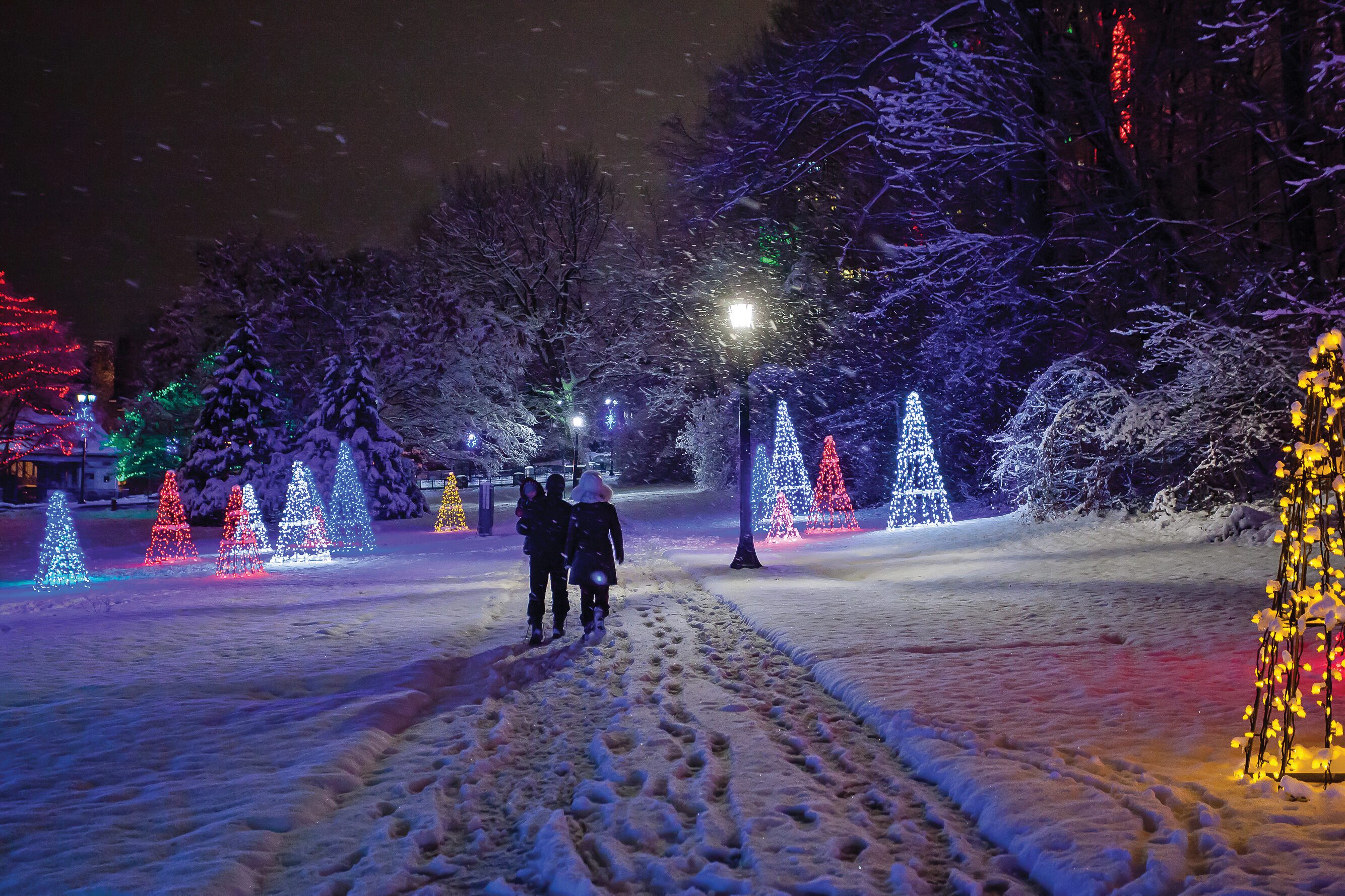 Niagara Parks, el Festival de Luces más espectacular de Canadá regresa este 2025 en Travel & Life: Tu Guía de Viajes y Estilo de Vida Niagara Parks