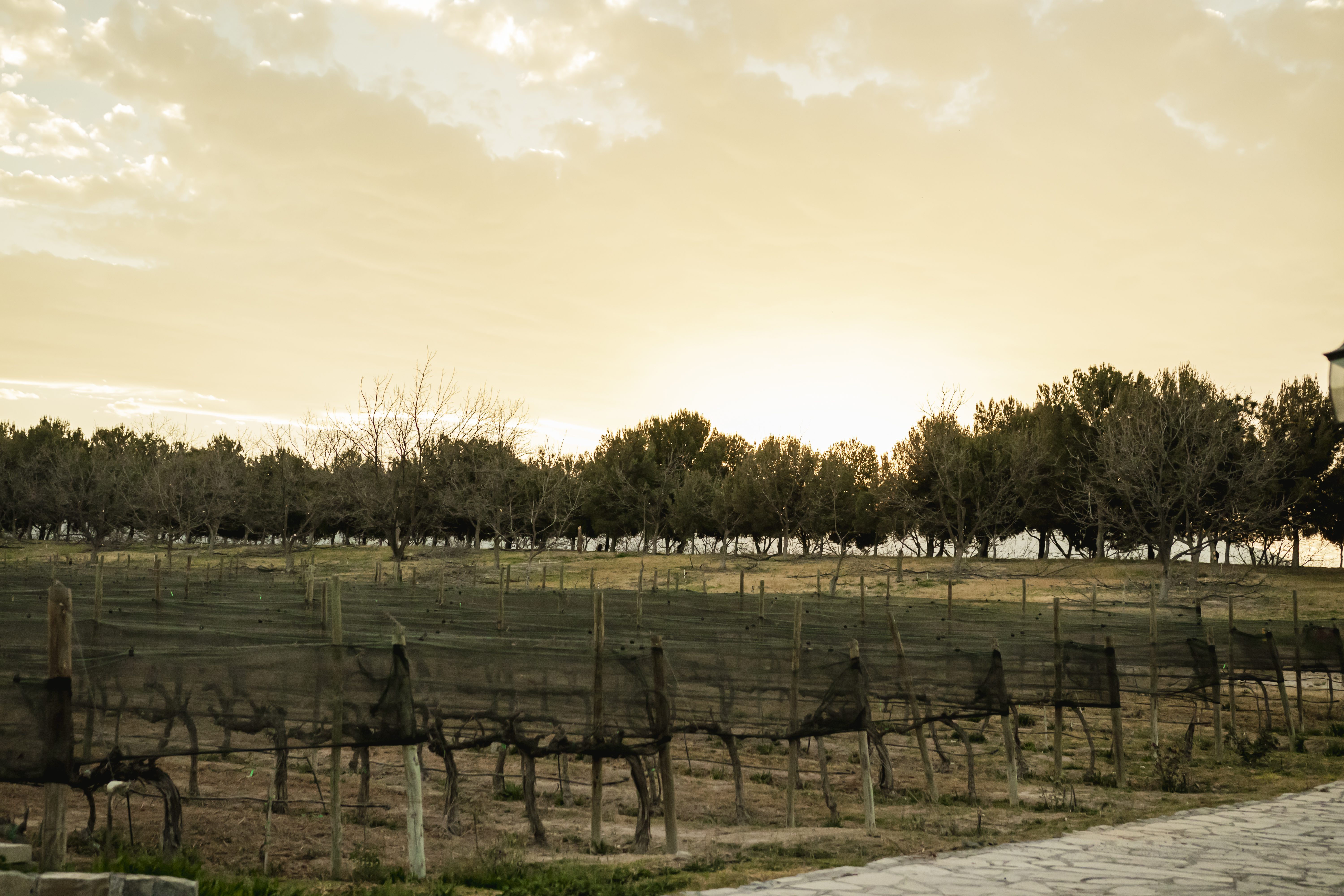 Parras de la Fuente