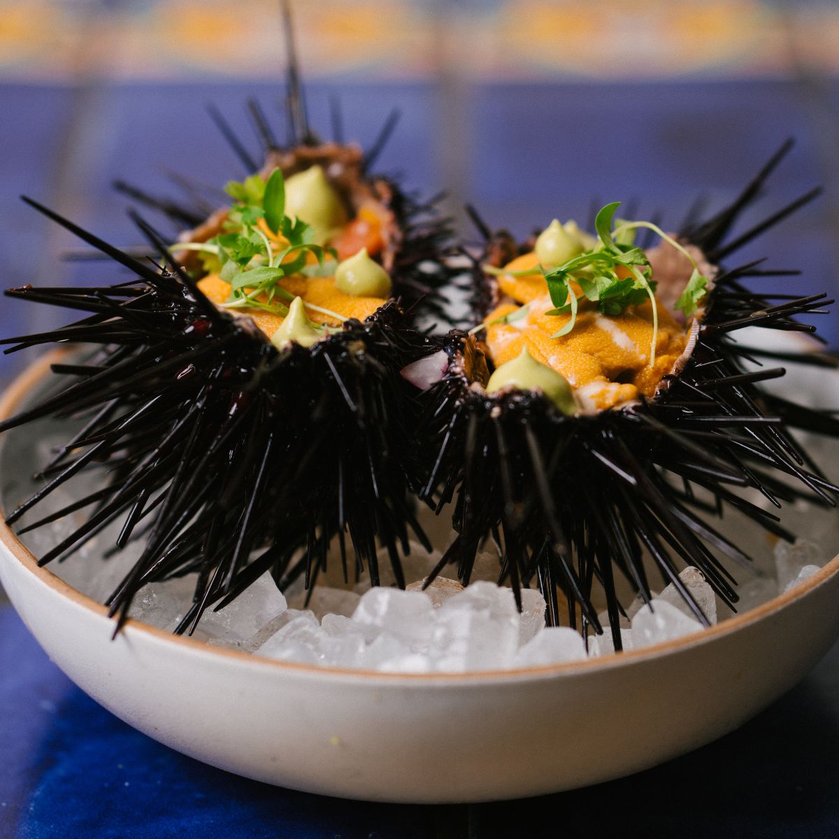 Itinerario para foodies en Los Ángeles en Travel & Life: Tu Guía de Viajes y Estilo de Vida Holbox, uan estrella Michelin en Los Ángeles vale la pena