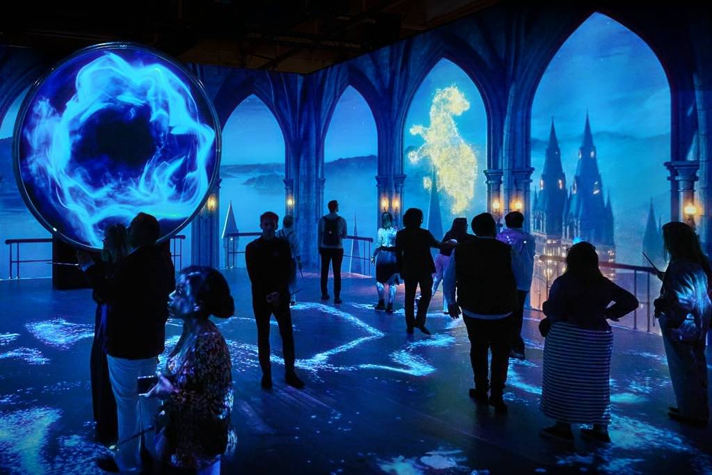 Harry Potter Visions of Magic