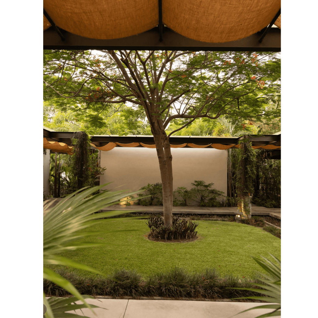 Llega el Latam Longevity Summit con una propuesta que redefine el concepto wellness en México en Travel & Life: Tu Guía de Viajes y Estilo de Vida Llega el Latam Longevity Summit con una propuesta que redefine el concepto wellness en México en Travel & Life: Tu Guía de Viajes y Estilo de Vida