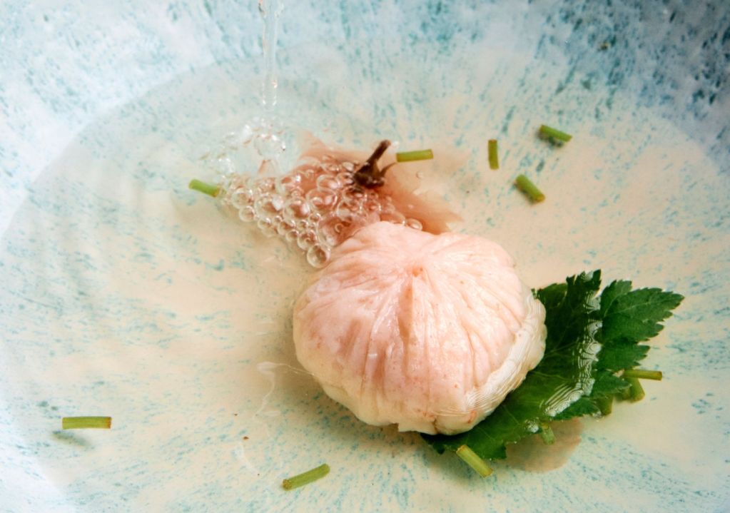 Yoshimi, el oasis japonés en CDMX presenta su menú para la temporada de Hanami Sakura en Travel & Life: Tu Guía de Viajes y Estilo de Vida Hanami Sakura