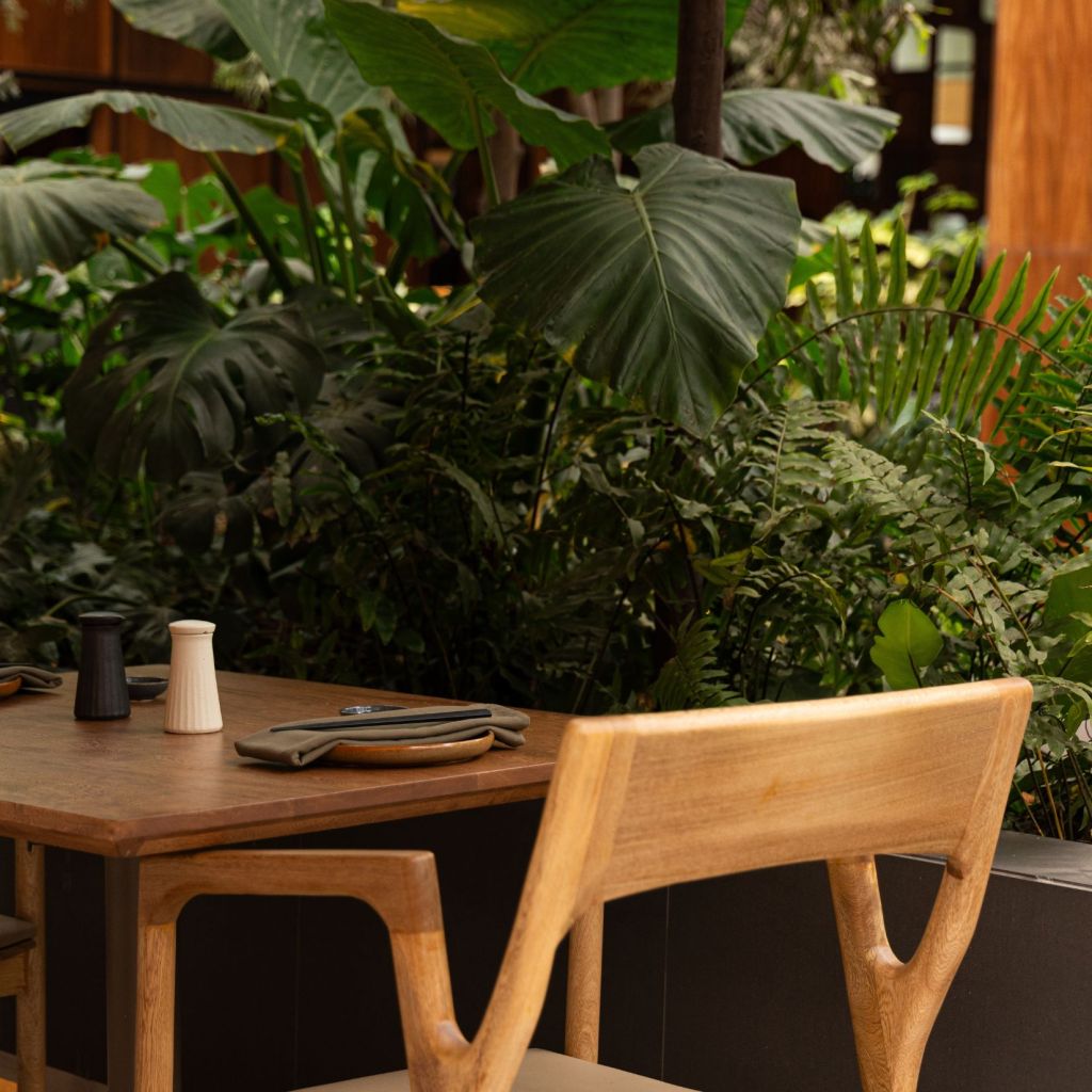 Kumoto: el nuevo restaurante japonés en CDMX donde el fuego es protagonista en Travel & Life: Tu Guía de Viajes y Estilo de Vida Kumoto robata el nuevo restaurante japonés en CDMX donde el fuego es protagonista perisur